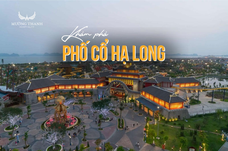 images/news/2025/08/original/pho-co-ha-long_1755146662.jpg